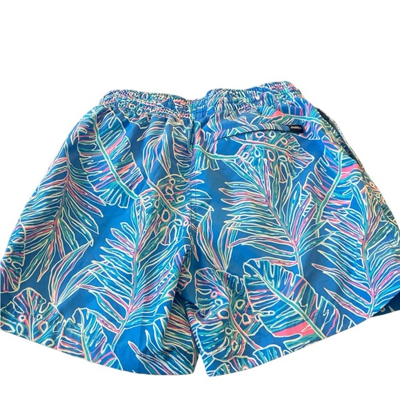 Chubbies The Cruise It or Lose It swim trunks - Picture 3 of 9